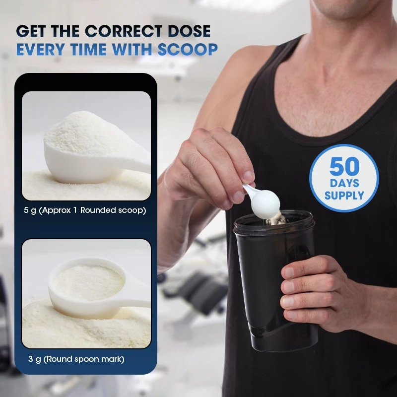 ケシンシュ クレアチン一水和物パウダー クレアチン ワークア - Creatine Monohydrate Powder のレビューと価格